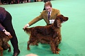 Crufts2011_2 095